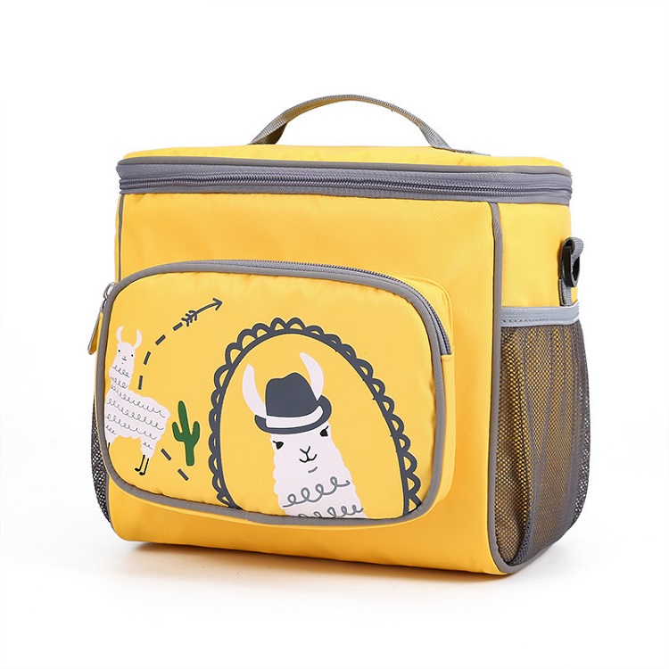 Large Picnic Bag Designer Adjustable Shoulder Strap Insulated Lunch Bag Personalized Travel School C(图2)