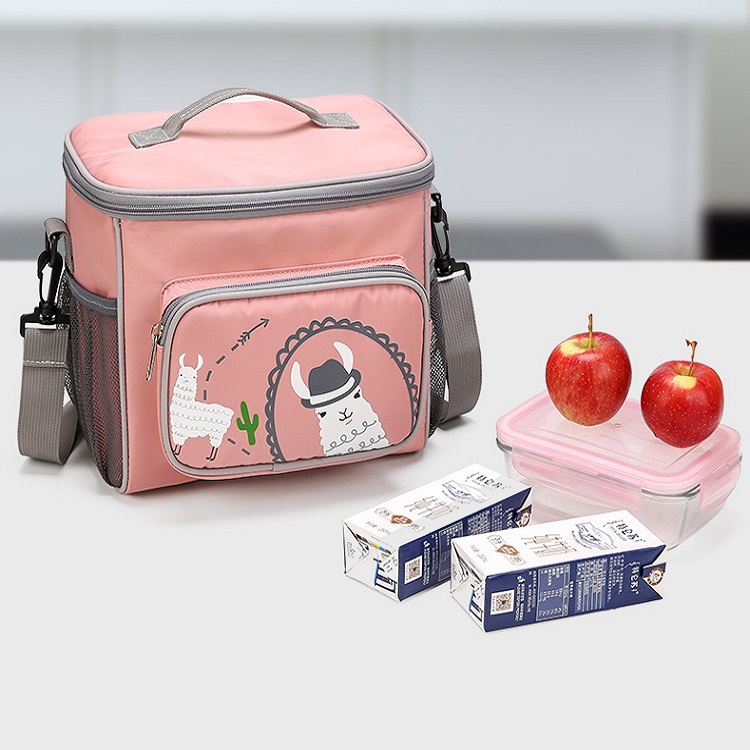 Large Picnic Bag Designer Adjustable Shoulder Strap Insulated Lunch Bag Personalized Travel School C(图4)