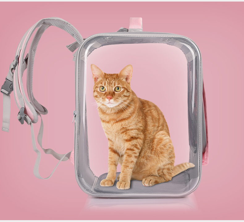 猫咪包便携手提猫包双肩包太空胶囊夏季透气宠物大号透明背包(图3)