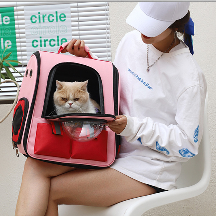 宠物背带批发大型户外可折叠便携式网眼猫宠物狗旅行包(图7)