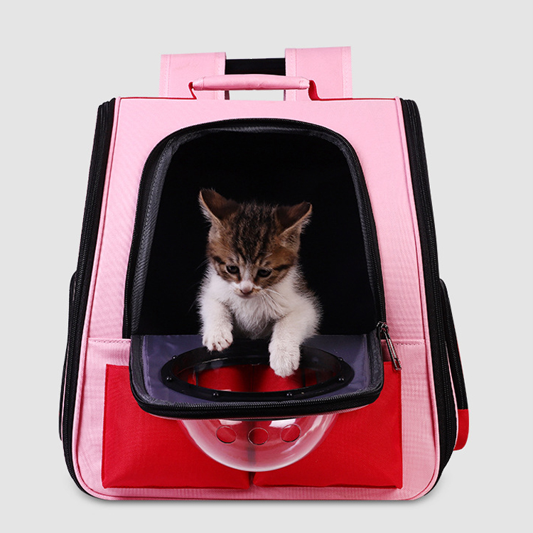 宠物背带批发大型户外可折叠便携式网眼猫宠物狗旅行包(图2)