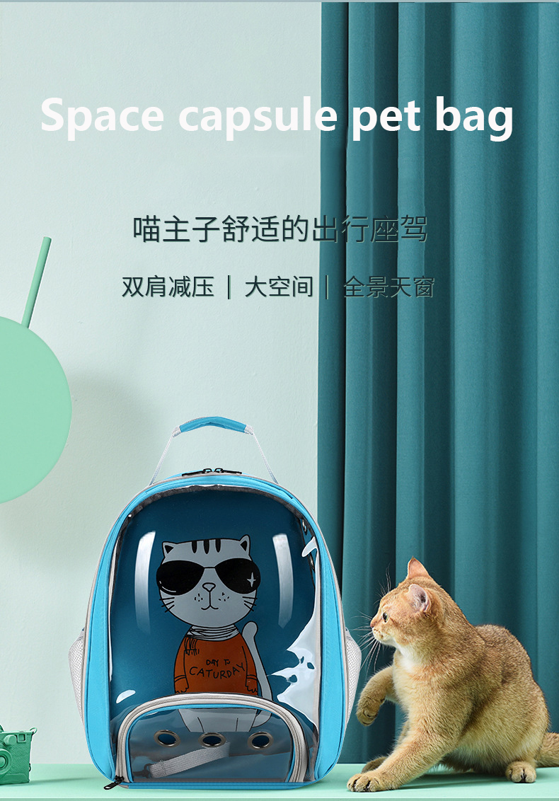 定制帆布宠物背包狗外出袋携带袋狗猫旅行携带袋(图2)