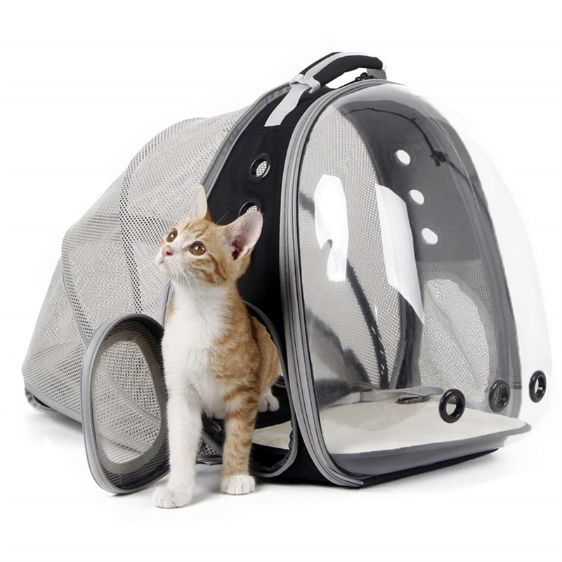  The Best Backpack Cat Carriers Of 2023(图1)