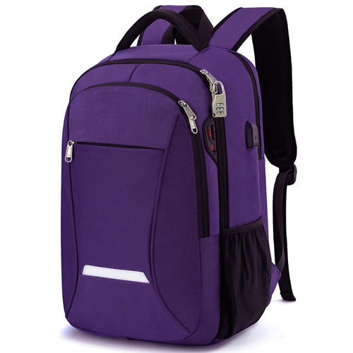 Anti-Theft Travel Laptop Backpack(图2)